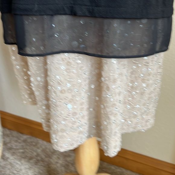 Ann Taylor Silk Beaded Skirt Size S Pockets Side Zip Stretch Waist - Picture 6 of 10